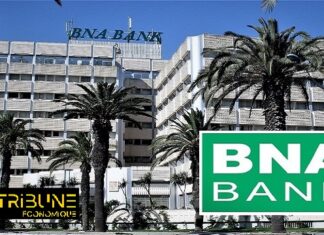 Walid Saqqa nommé directeur général de CAPITAUX BNA