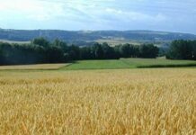 Hausse de la valeur des investissements agricoles de 8%, à fin septembre 2026