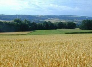 Hausse de la valeur des investissements agricoles de 8%, à fin septembre 2026