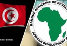 Économie Africaine 2025 : La Tunisie entre Résilience Sociale et Défis de Compétitivité