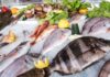 Produits de la pêche : Un excédent de 92,6 MDT