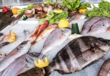 Produits de la pêche : Un excédent de 92,6 MDT