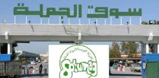 La SOTUMAG décide la distribution de dividendes au titre de l’exercice 2024