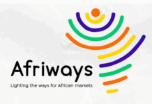 Afriways : la nouvelle voie des entrepreneur(e)s vers une Afrique d’opportunités