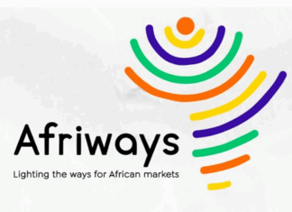 Afriways : la nouvelle voie des entrepreneur(e)s vers une Afrique d’opportunités