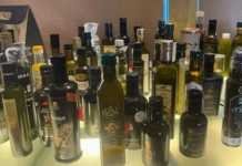 Huile d’olive : la Tunisie remporte 51 médailles au concours international Al-Ahram « Cléopâtre »