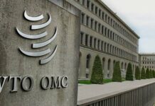 Forum de l’OMC à Genève : Entre essor de l’IA et boom des services, la Tunisie consolide son statut de hub exportateur