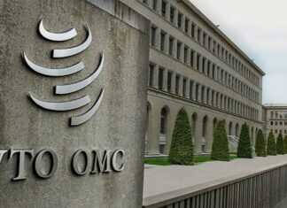 Forum de l’OMC à Genève : Entre essor de l’IA et boom des services, la Tunisie consolide son statut de hub exportateur