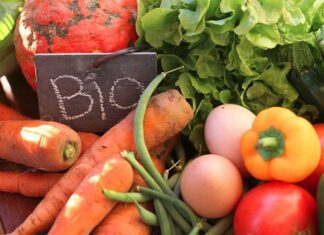 Produits agricoles biologiques: Des recettes d’exportations estimées à 669,2 MDT, à fin août 2026